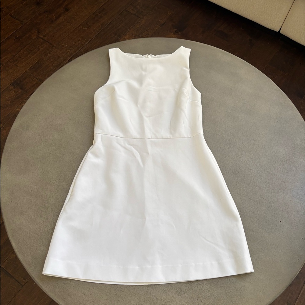 Aritzia Babaton bond Mini Dress